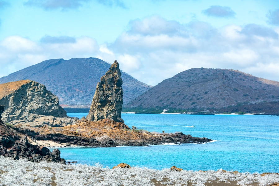 Travel With Joha - About us