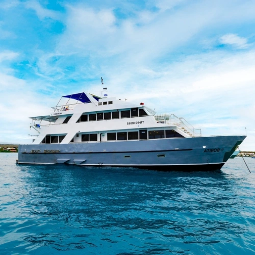 Bonita Yacht