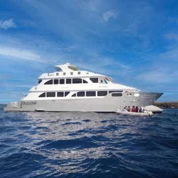 Ecogalaxy Catamaran
